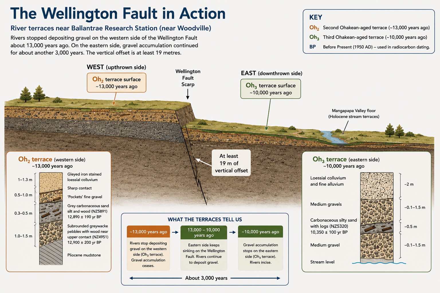 Wellington Fault line infographic final.jpg