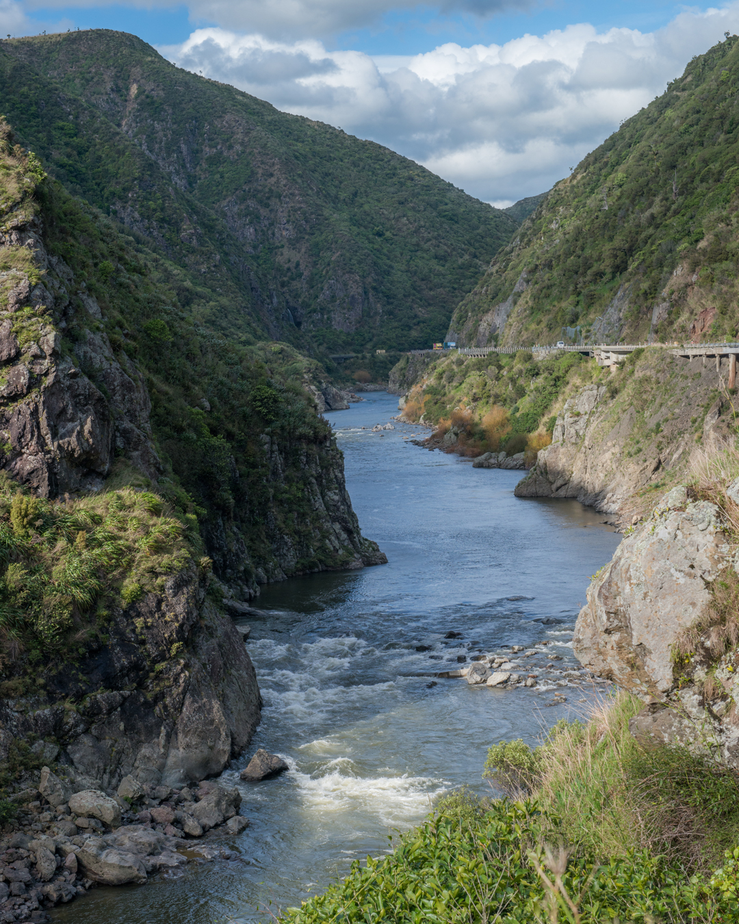Te-Apiti-Manawatu-Gorge-river-view.jpg