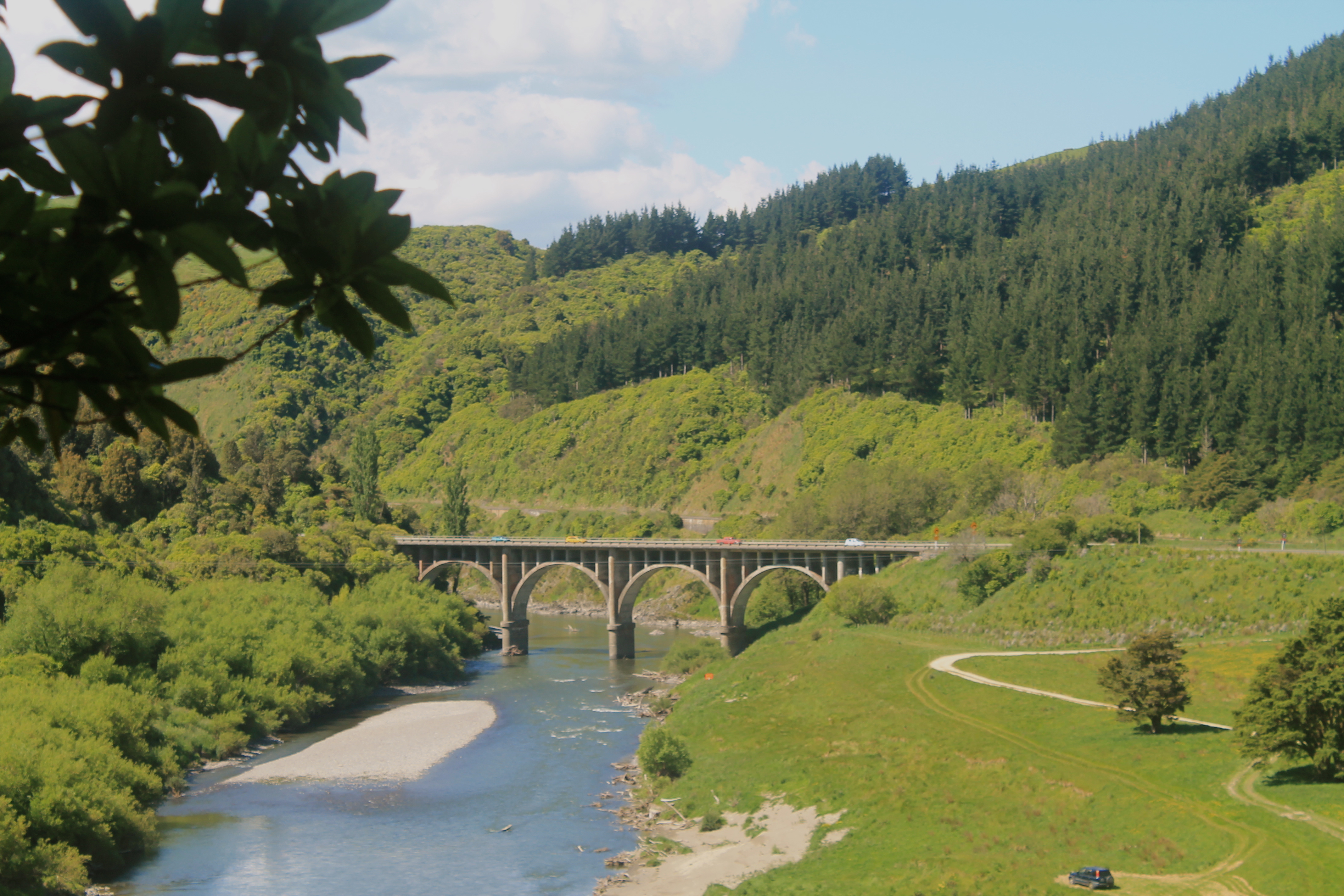 Manawatu Gorge Walk