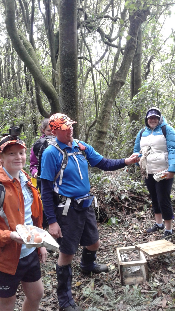 'Forest protection' feature block image