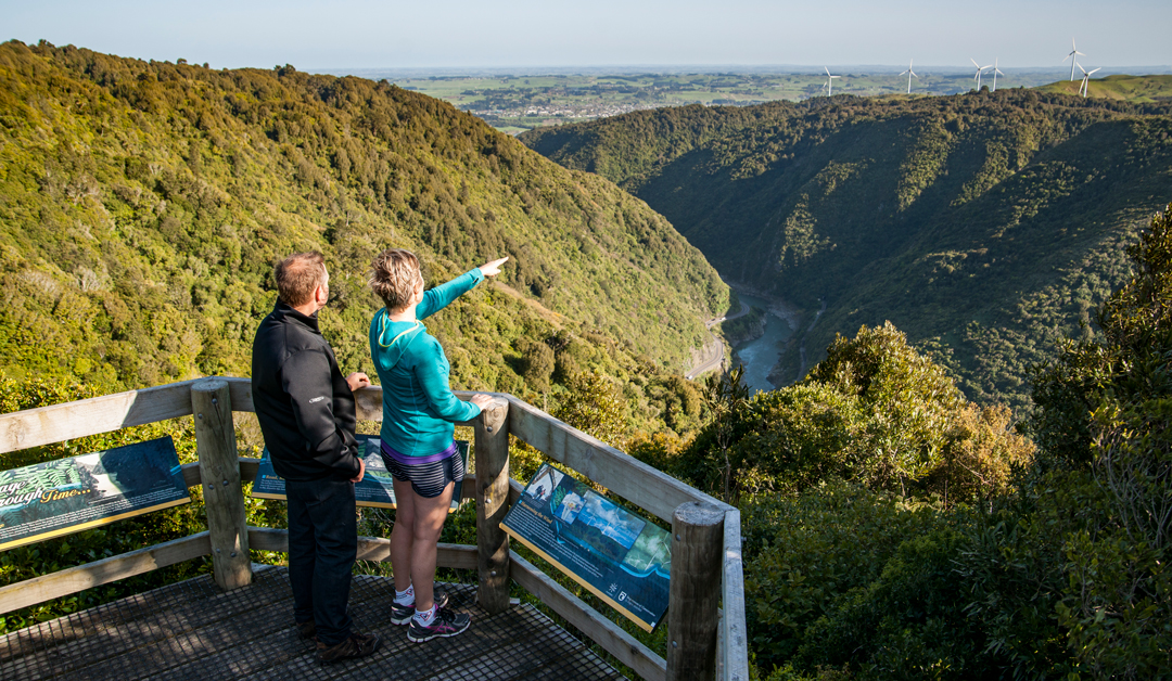 Manawatu Gorge Track Look Out