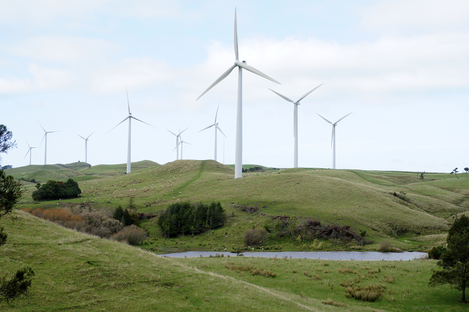 Milson Scouts' Manawatu Gorge Trap Line