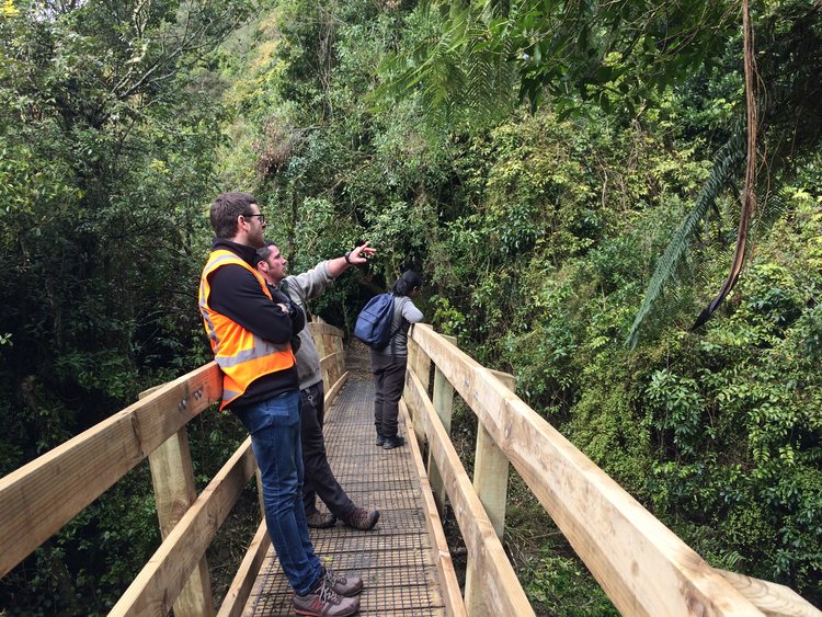 Te Apiti bridge