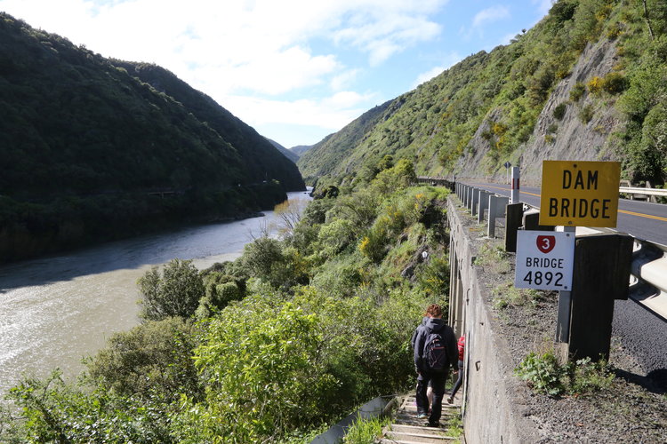 Te Apiti pathway