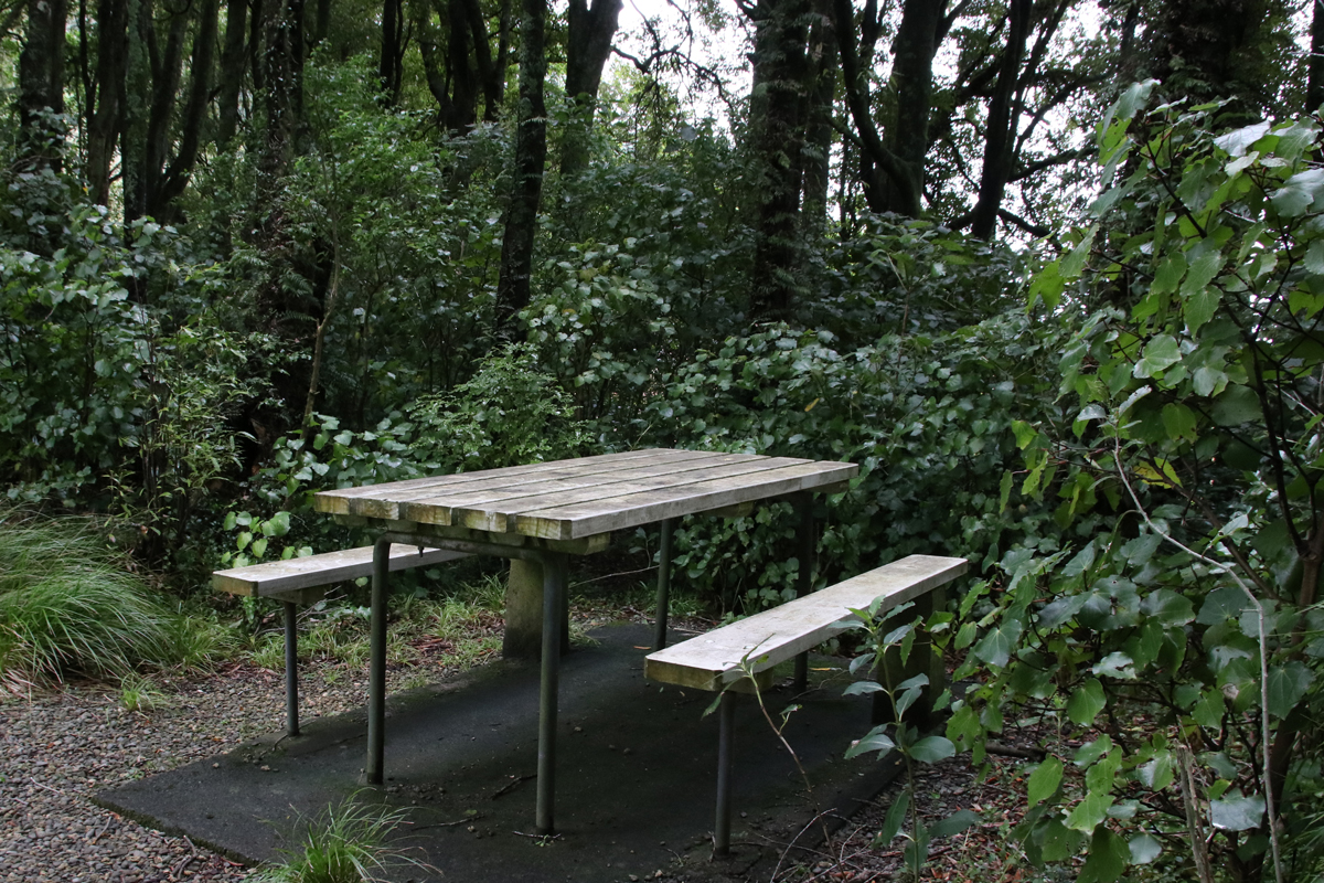 Picnic Tables at Ballance Domain, 2019