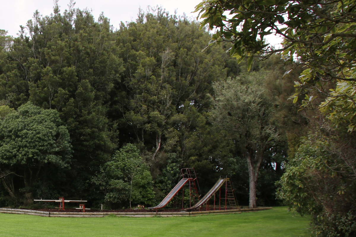 Ballance Domain playground, 2019