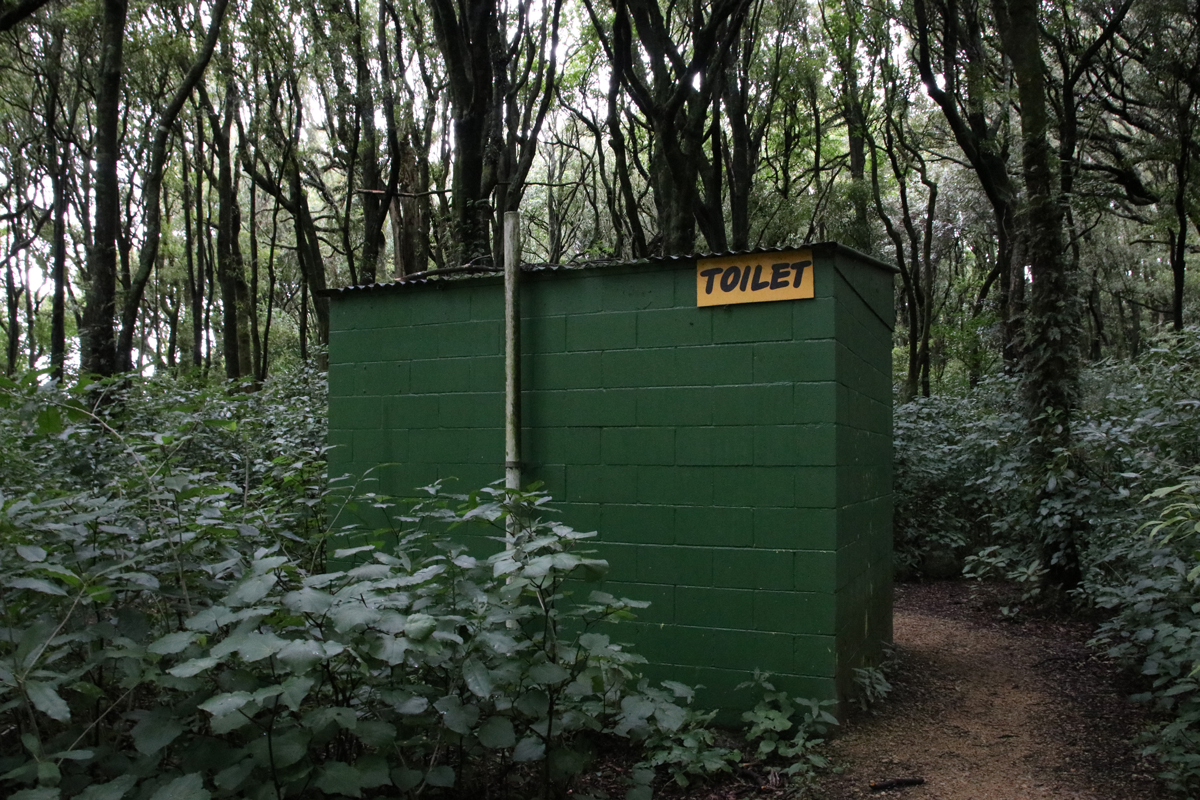 Toilet facilities at Ballance Domain, 2019