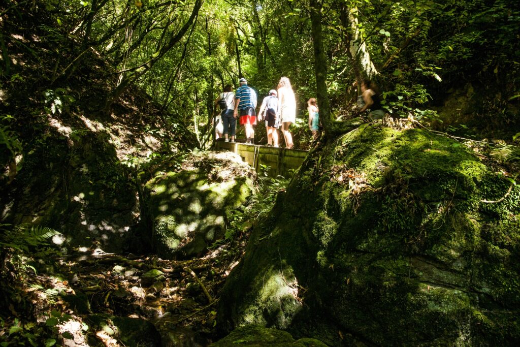 Masterplan provides shared vision and strategic framework for Te Āpiti – Manawatū Gorge