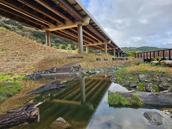 sh3-te-ahu-a-turanga-manawatu-tararua-highway-western-tracks-1__ResizedImageWzYwMCw0NTBd